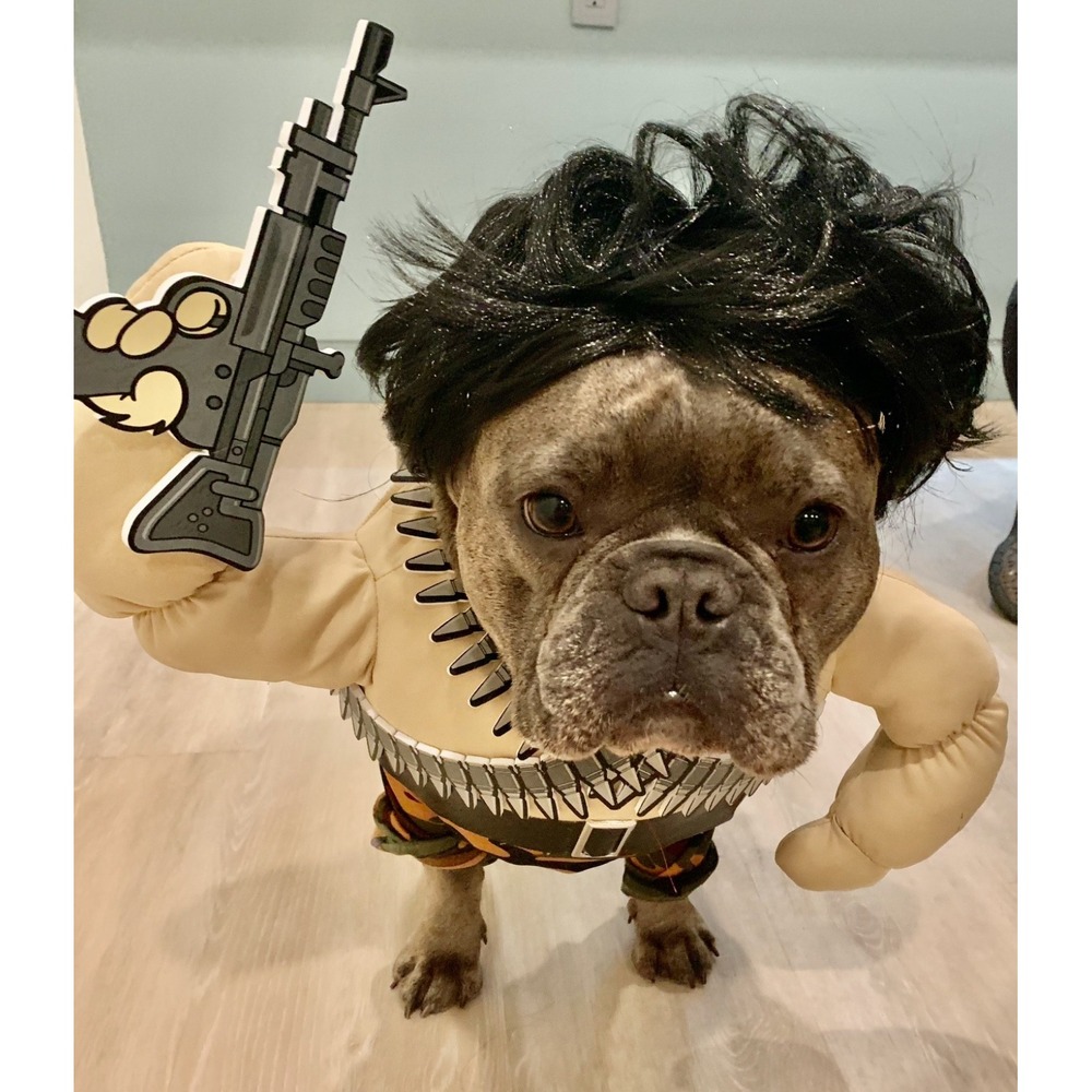 California Costumes Impawsters Action Hero Dog Costume Medium Complete PET20156
